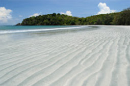 Along the South: 10 Days