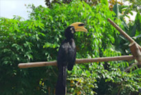 Along the South: 10 Days