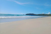 Along the South: 10 Days