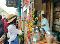 Along the South: 10 Days