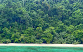 Ko Surin + Similan Overnight on Island 3 Days 2 Nights