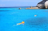 Ko Surin + Similan Overnight on Island 3 Days 2 Nights