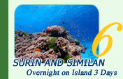 Surin and Similan Overnight on Island 3 Days