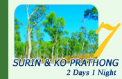 Surin Island and Ko Prathong 2 Days 1 Night
