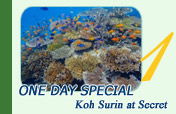One Day Special Koh Surin at Secret
