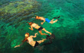 Ko Surin + Similan Overnight on Island 3 Days 2 Nights