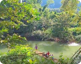 Surin and Khaosok 2 Days Overnight amidst nature