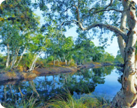 Surin Island and Ko Prathong 2 Days 1 Night