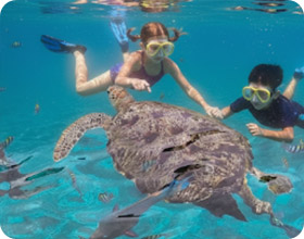 2 Days 1 Night. Surin and Similan Archipelago