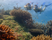 Surin Island and Ko Prathong 2 Days 1 Night