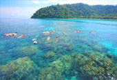 Surin Island and Ko Prathong 2 Days 1 Night