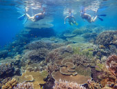 Surin Island and Ko Prathong 2 Days 1 Night