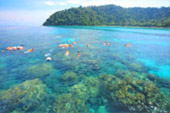 2 Days 1 Night. Surin and Similan Archipelago