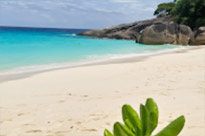 2 Days 1 Night. Surin and Similan Archipelago