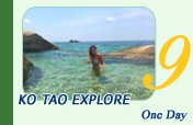 One Day Ko Tao Explore