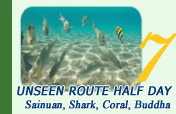 Unseen Route Half Day Sainuan + Shark Bay + Coral Bay + Buddha Point