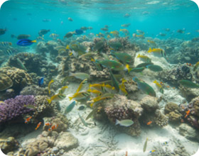 4 Hours Trip Ko Tao Ao Tanote - Mao Beach - Tien Cape