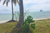 One Day Yao Yai Island From Phuket