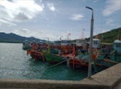 One Day Yao Yai Island From Phuket