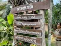 Things to Do & See : Ko Yao Yai