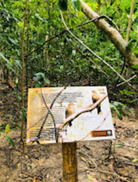 Long and Hong Island: Sea in Vovies One Day Tour