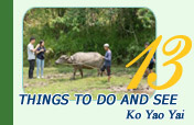 Things to Do and See : Ko Yao Yai