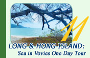 Long and Hong Island: Sea in Vovies One Day Tour