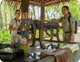 Things to Do and See : Ko Yao Yai