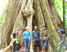 Hiking Koh Yao Noi Prove yourself. Discover more. Explore.