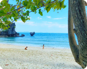 Long and Hong Island: Sea in Vovies One Day Tour